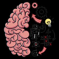 Brain Test