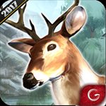 Deer Hunt 2017