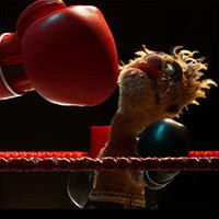 Felt That: Boxing