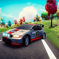 Flip Rally