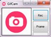 GifCam