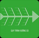 Mẫu PowerPoint: Quy trình xương cá