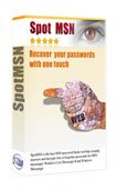 MSN Messenger Password Recovery