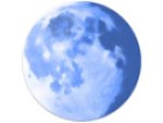 Pale Moon Portable