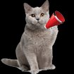 Real Cat Sounds cho Windows 8