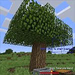 Template Wands Mod