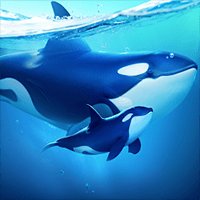 World of Water-Gamota cho iOS
